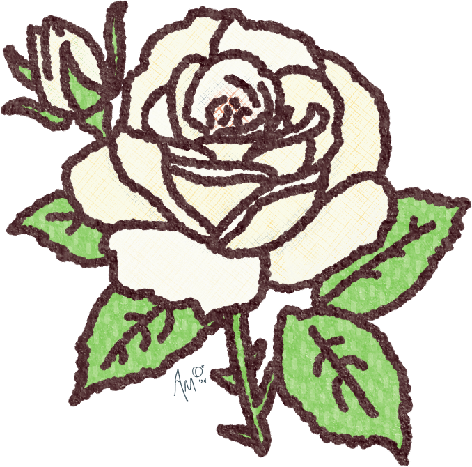 Text and Email as a Meditative Practice 2 white rose