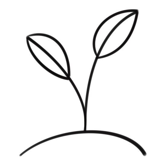 Our Digital Garden