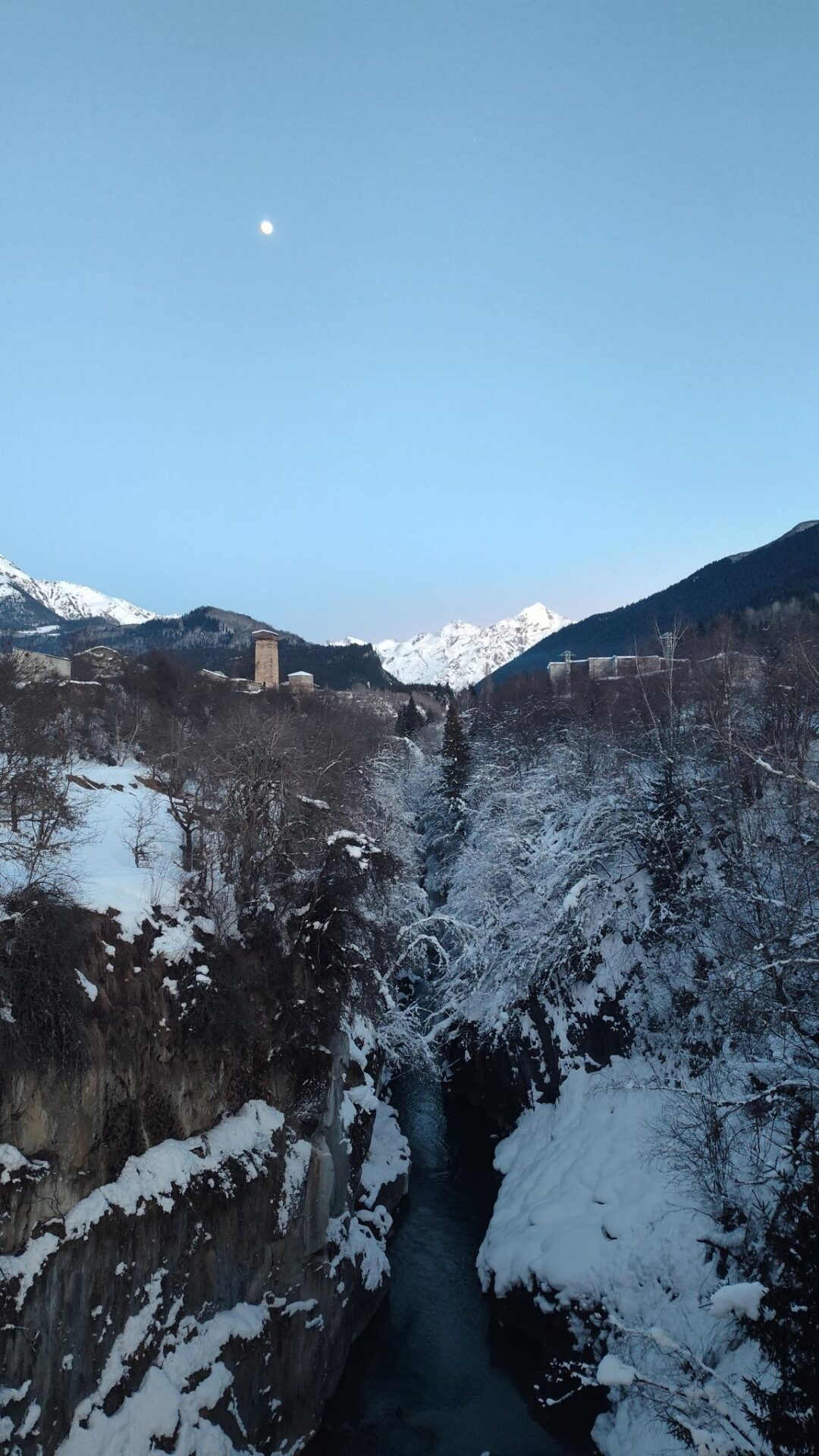 winter wonderland